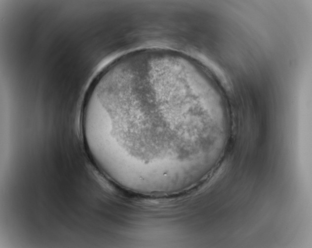 X0000086941272200705141755