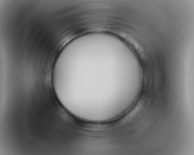 X0000086941273200705141755