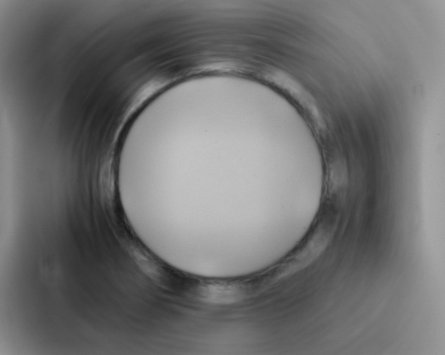 X0000086941274200705141755