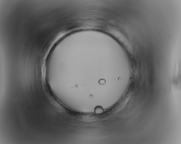 X0000086941275200705141755