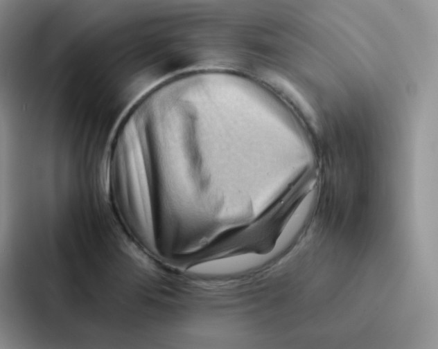 X0000086941276200705141755