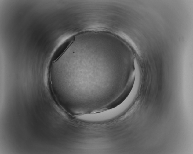 X0000086941277200705141755