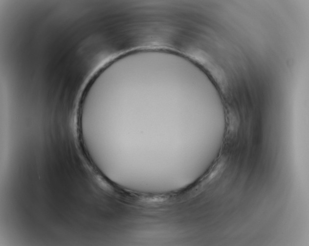 X0000086941278200705141755