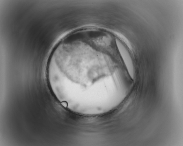 X0000086941279200705141755