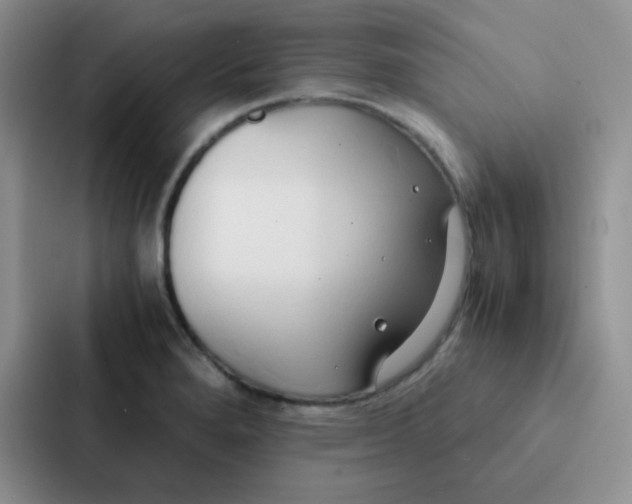 X0000086941280200705141755