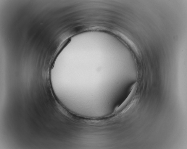 X0000086941281200705141755