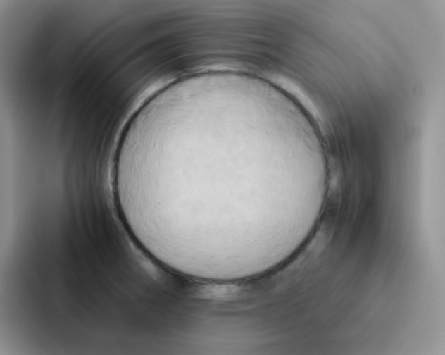 X0000086941282200705141755