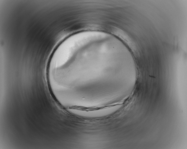 X0000086941283200705141755