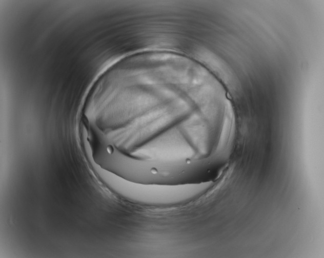 X0000086941284200705141755