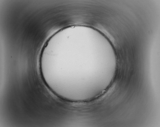 X0000086941285200705141755