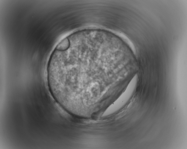 X0000086941287200705141755