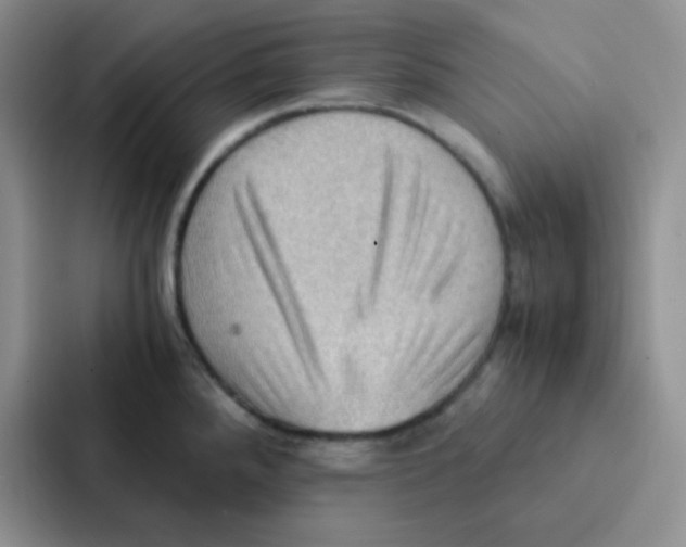 X0000086941288200705141755