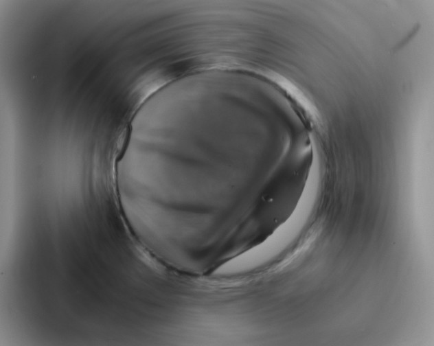 X0000086941289200705141755