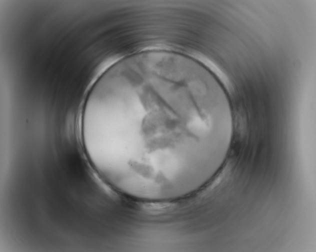 X0000086941290200705141755