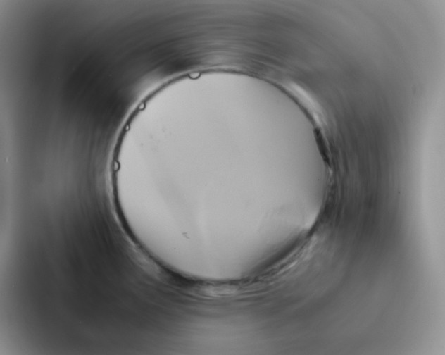 X0000086941291200705141755