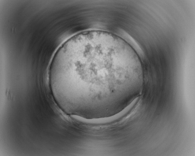 X0000086941292200705141755