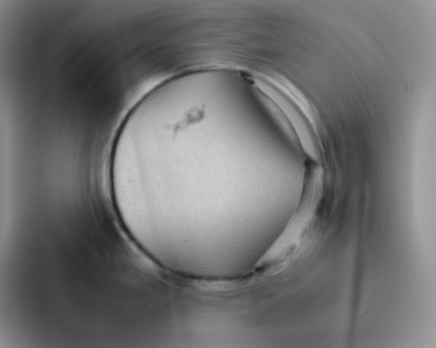 X0000086941293200705141755