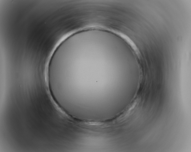 X0000086941295200705141755