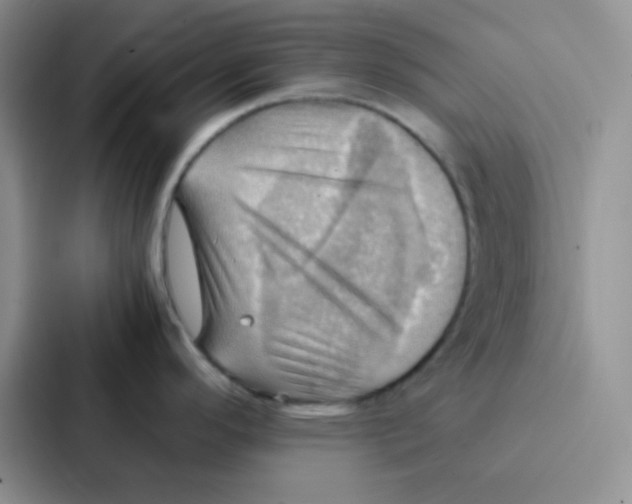 X0000086941296200705141755