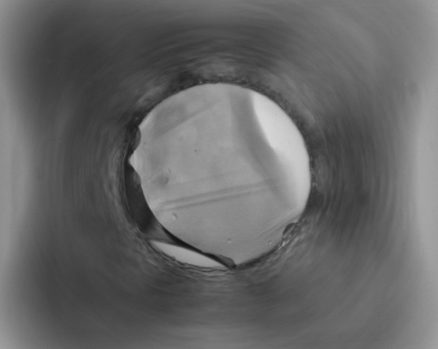 X0000086941297200705141754