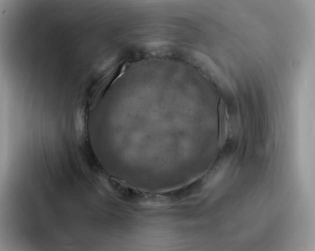 X0000086941298200705141754