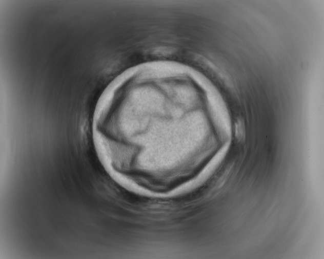 X0000086941299200705141754