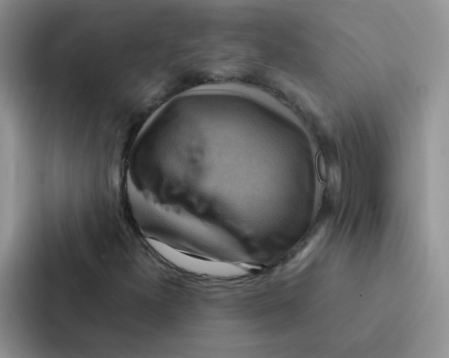 X0000086941300200705141754