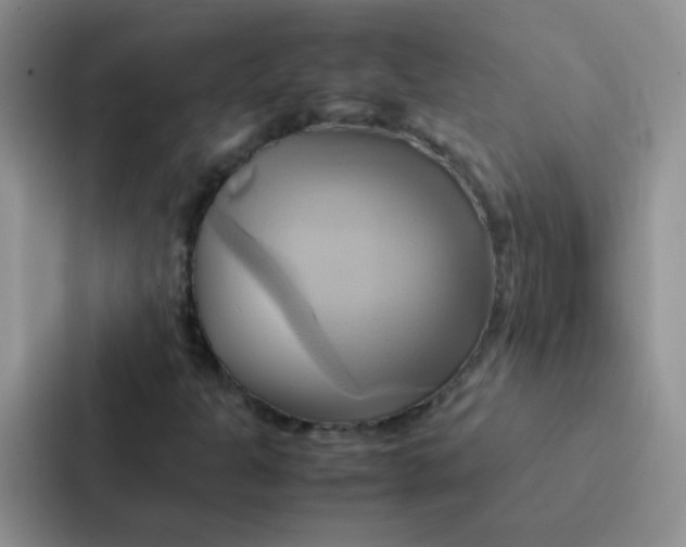 X0000086941301200705141754