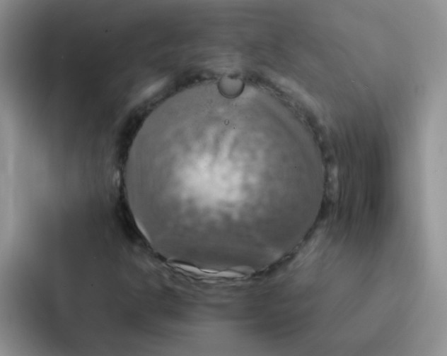 X0000086941302200705141754