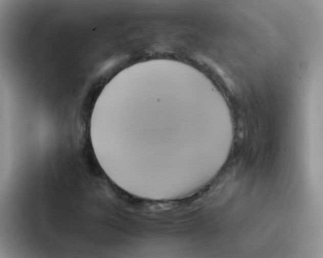 X0000086941303200705141754