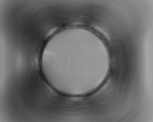 X0000086941305200705141754