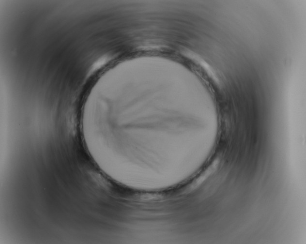 X0000086941306200705141754