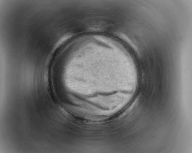 X0000086941307200705141754