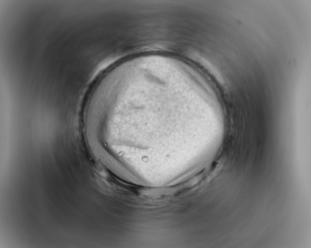 X0000086941308200705141754