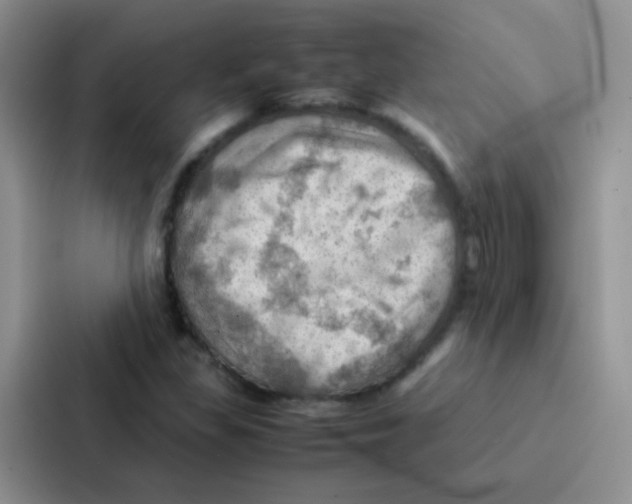 X0000086941309200705141754