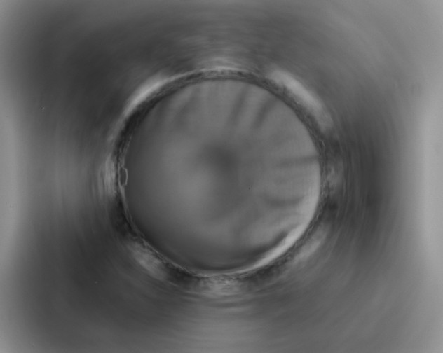 X0000086941310200705141754