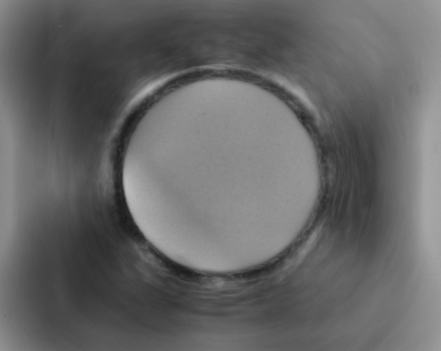 X0000086941311200705141754