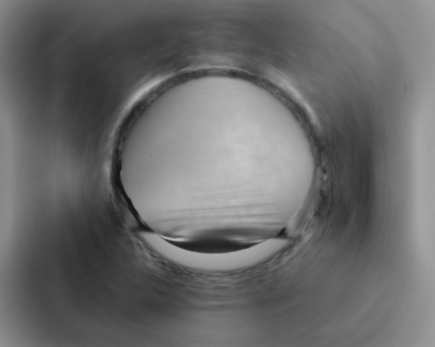 X0000086941312200705141754