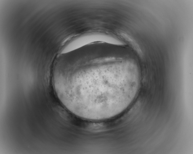 X0000086941313200705141754