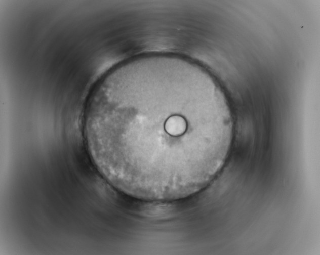 X0000086941314200705141754