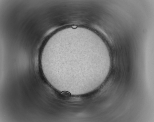 X0000086941315200705141754