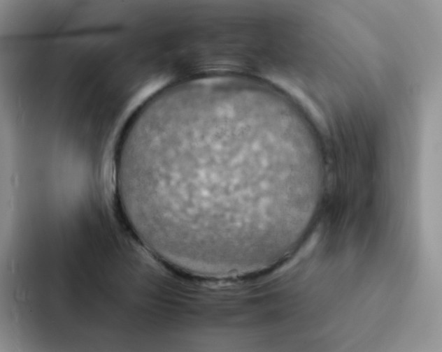 X0000086941317200705141754