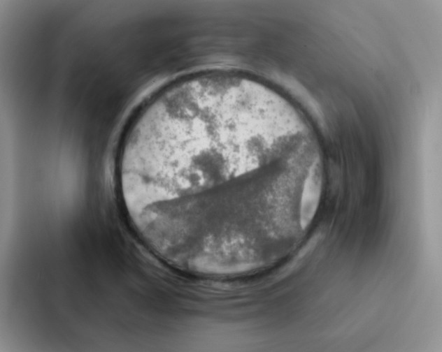 X0000086941318200705141754