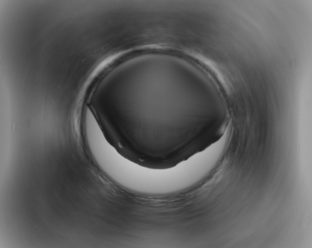 X0000086941319200705141754