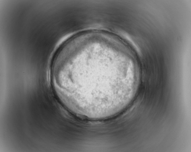 X0000086941320200705141754