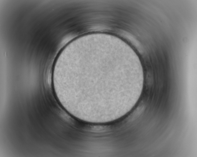 X0000086941322200705141754