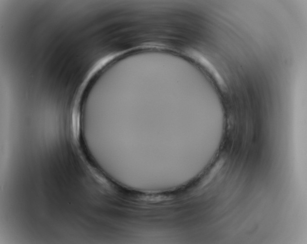 X0000086941323200705141754