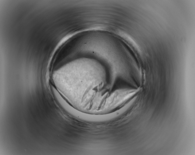 X0000086941324200705141754