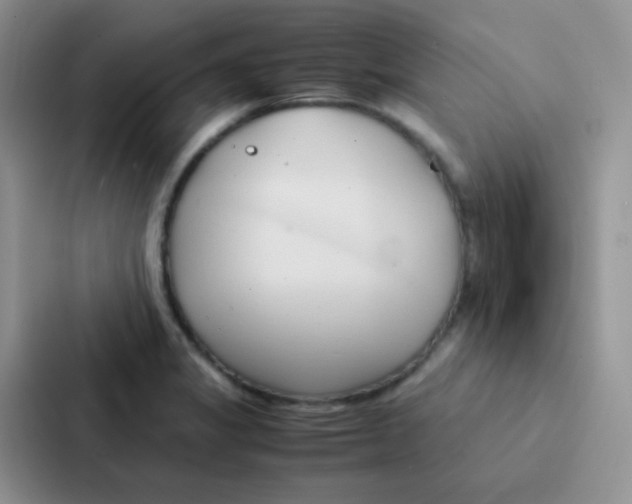 X0000086941325200705141754