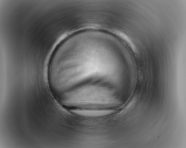 X0000086941326200705141754